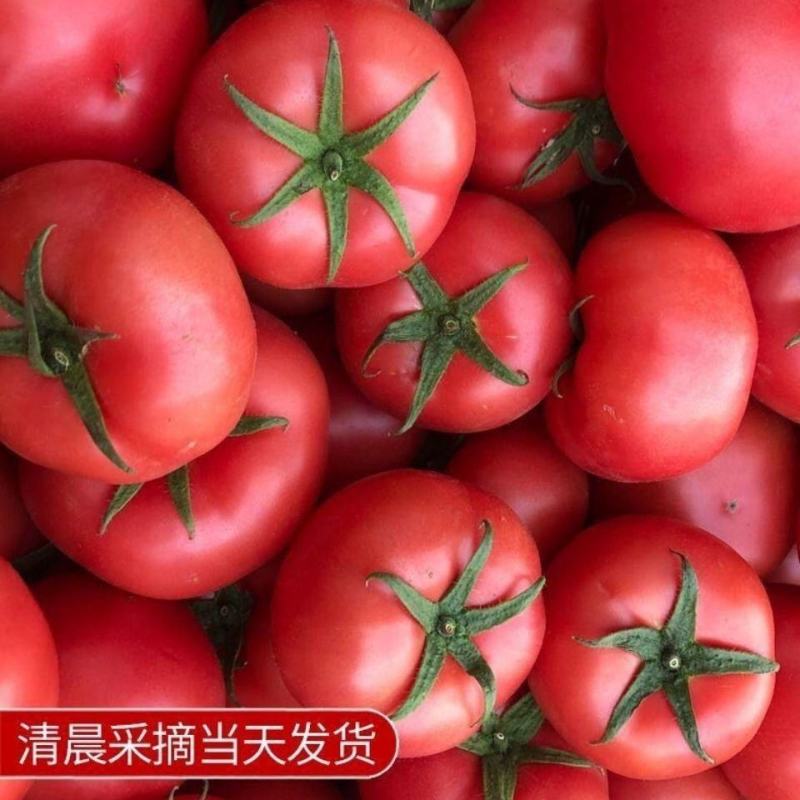 如何成为农产品电商领域的小能手？——聊聊“农产品电商运营职业技能等级证书”