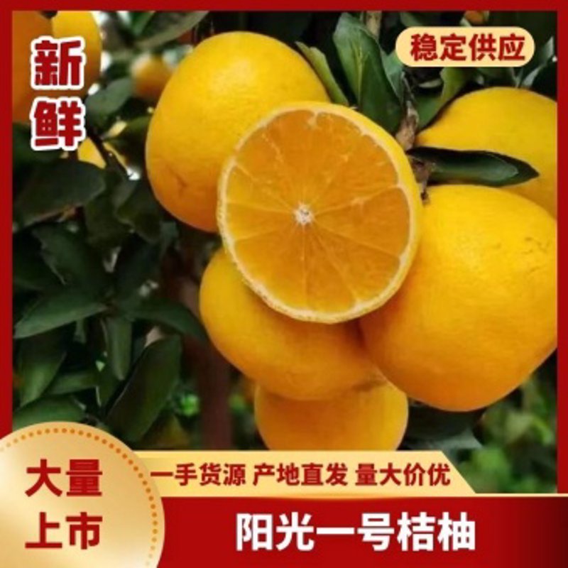 产地直发