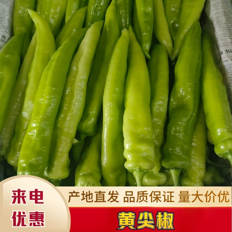在颐品农庄，我们致力于发展多种生态养殖项目。今天就让我们一起深入了解这些项目，看看哪些可能适合您！