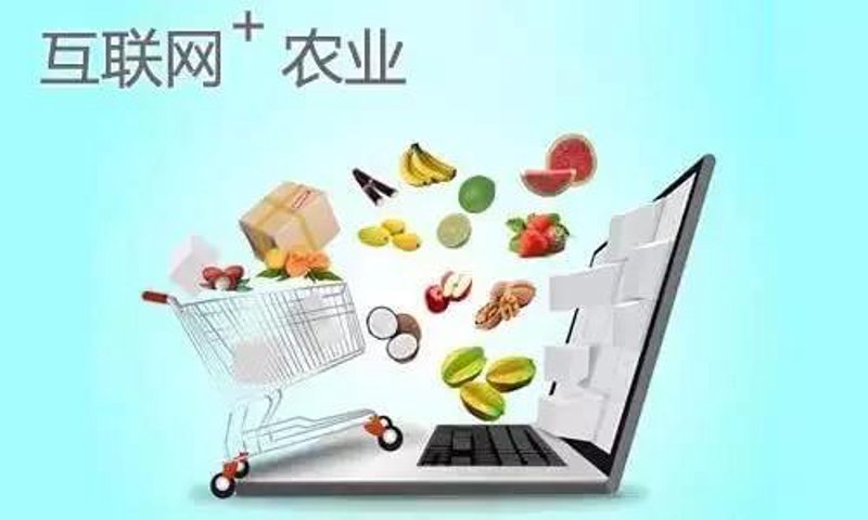 在当前蓬勃发展的农产品电商市场中，了解和遵守相关的税收政策对于商家而言至关重要。本文通过对比分析不同地区的政策差异，并结合实际案例，帮助您更好地应对税务挑战。